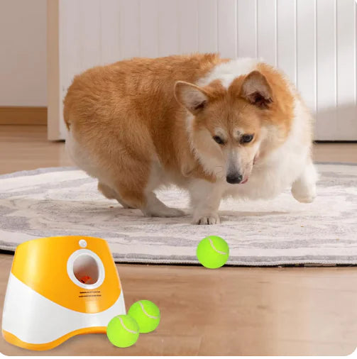 FetchPro Automatic Dog Ball Launcher