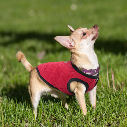 Dog Winter Jacket