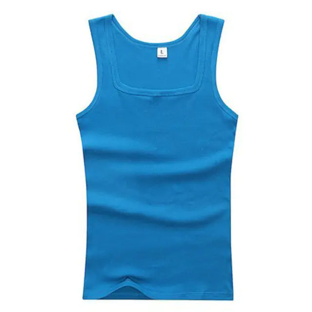 Fitness Vest